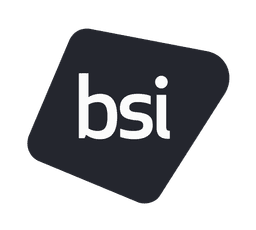 BSI Group America Professional Services