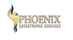 Phoenix Catastrophe